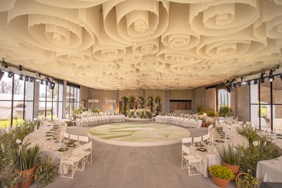 Boda en Vid de Luna SMA